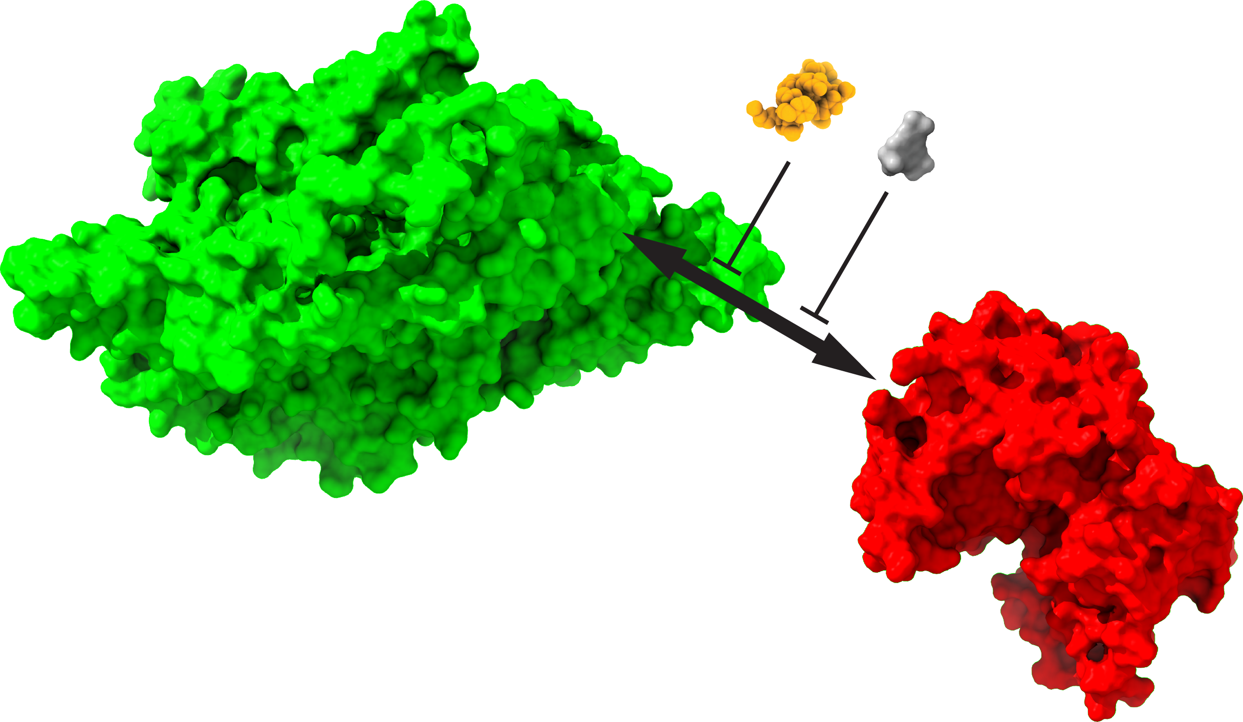 Figure PKM KIBRA Structures-WithInhibitors 2