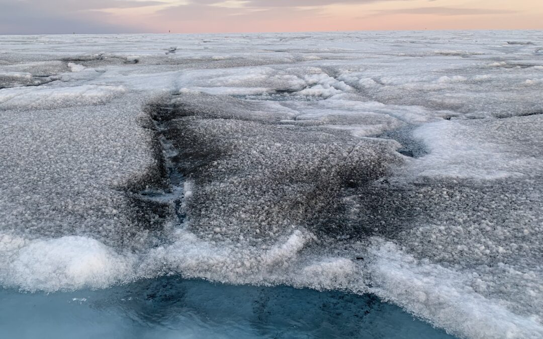 Virus giganti trovati sulla calotta glaciale della Groenlandia