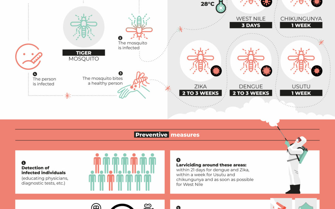 Olimpiadi: quanti giorni impiegano le zanzare nella Grande Parigi per trasmettere gli arbovirus?