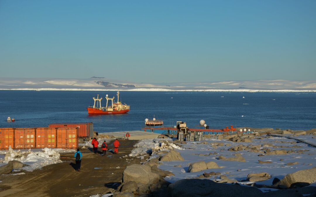 Batteri antigelo proteggono gli organismi marini Antartici dal congelamento