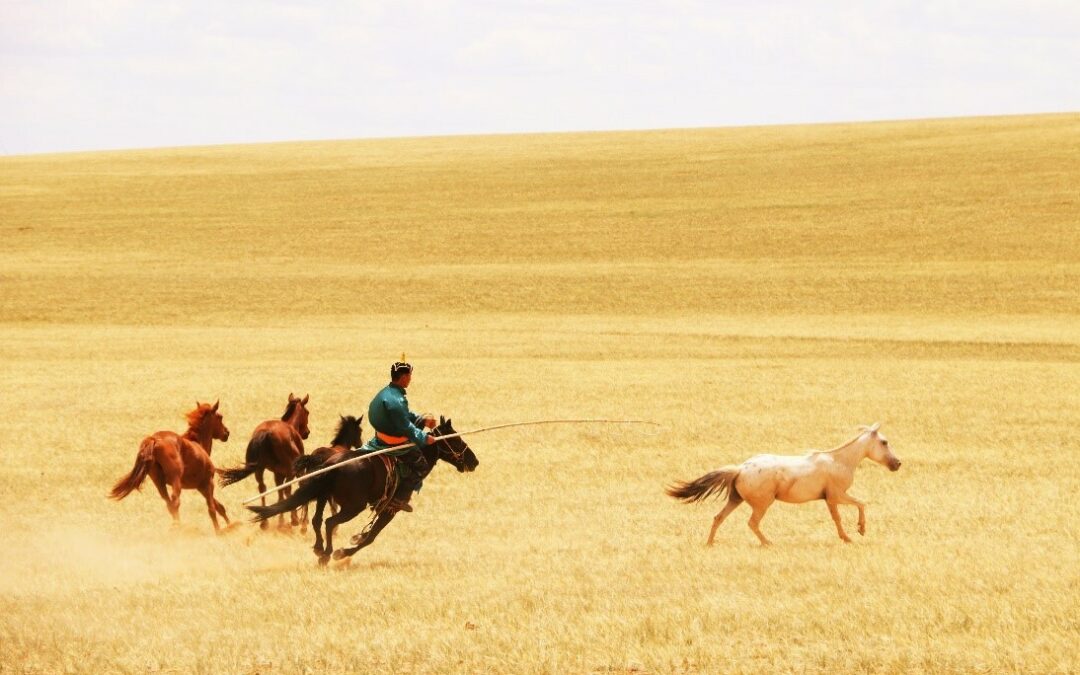 Nature: addomesticazione cavallo avvenuta dopo diffusione degli indoeuropei