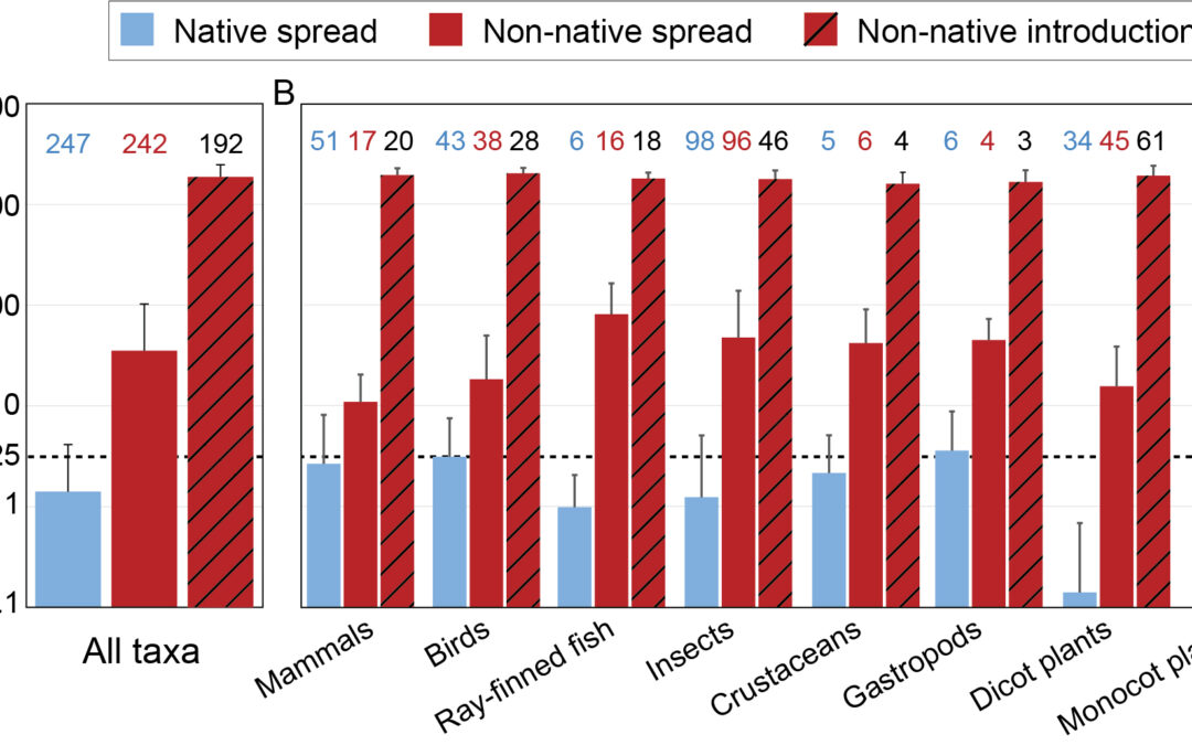 Annual Review of Ecology and Systematics: Piante e animali non autoctoni stanno espandendo le loro popolazioni 100 volte più velocemente delle specie autoctone