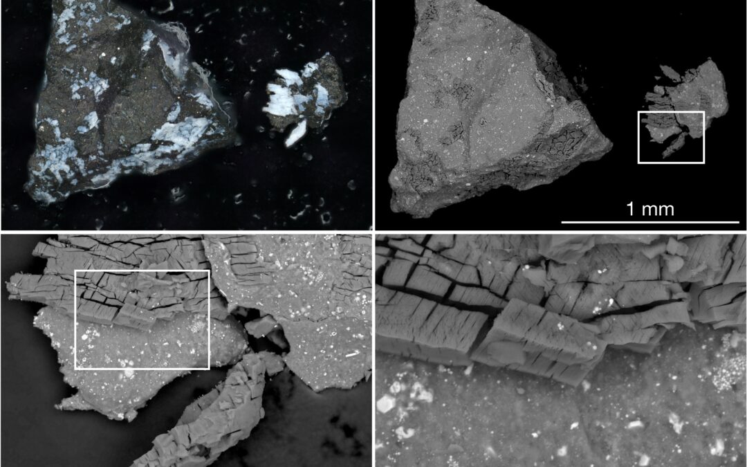 Asteroide Bennu, composti organici dimostrano presenza acqua nel Sistema Solare primordiale