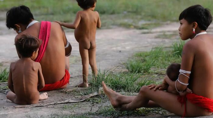 Scienziati lanciano l’allarme sulla sopravvivenza della popolazione degli Yanomami