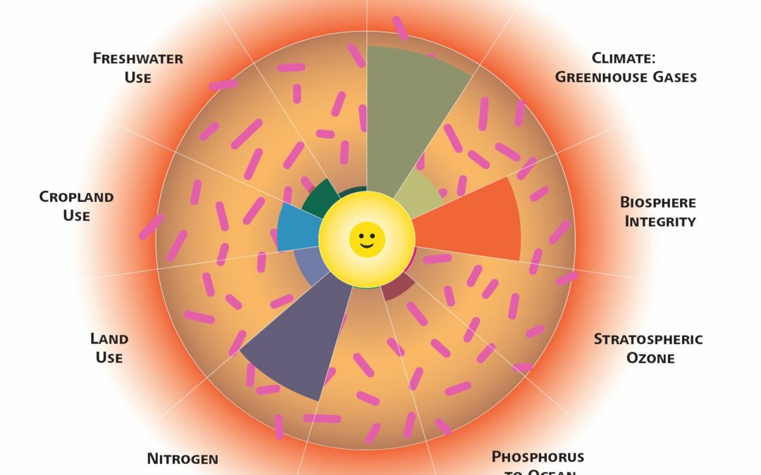 Modello ciambella: una vita ecologicamente sostenibile per tutti è possibile