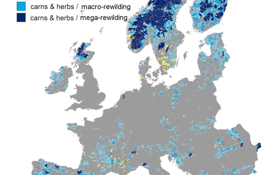 Quasi il 25% del paesaggio europeo potrebbe avere una seconda vita