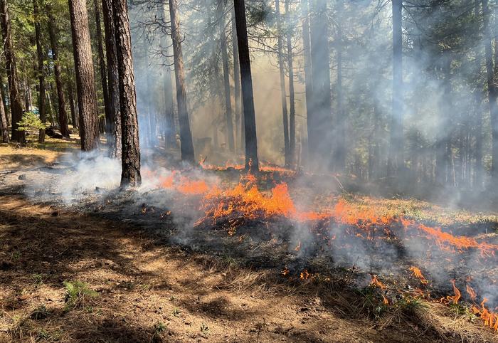 Incendi contenuti riducono le devastazioni di quelli più grandi