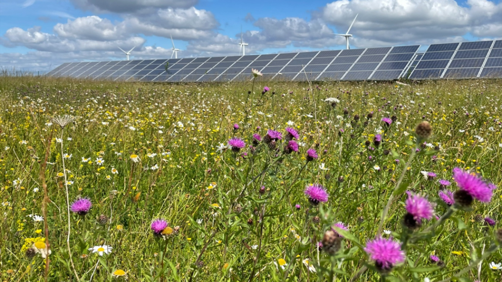 GB, scienziati chiedono al governo nuove politiche per l’energia solare