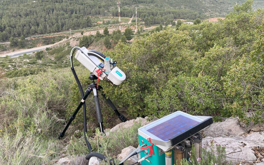 Cambiamento climatico, le foreste possono resistere anche a temperature fino a 50 gradi