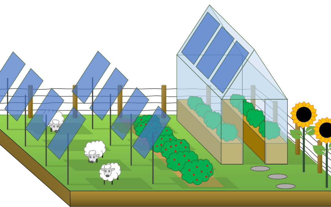 Agrivoltaico, scoperti nuovi materiali che aumentano efficienza impianti