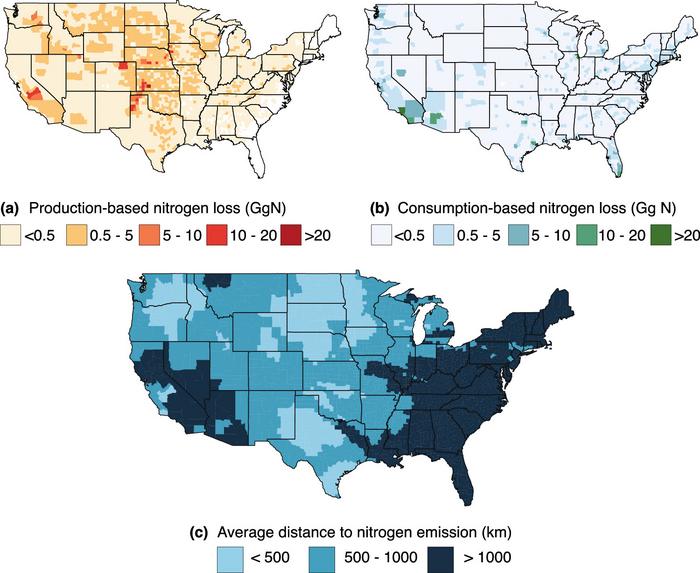 USA, chi mangia carne vive lontano dall’inquinamento di questa industria