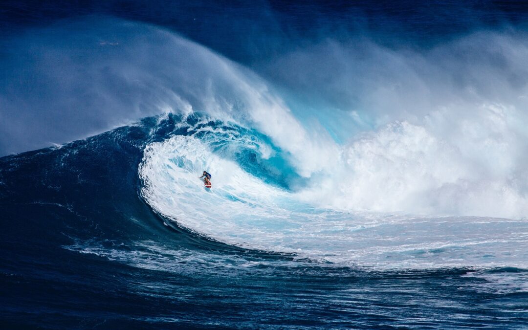 In Brasile le onde dell’Oceano hanno personalità giuridica come esseri viventi