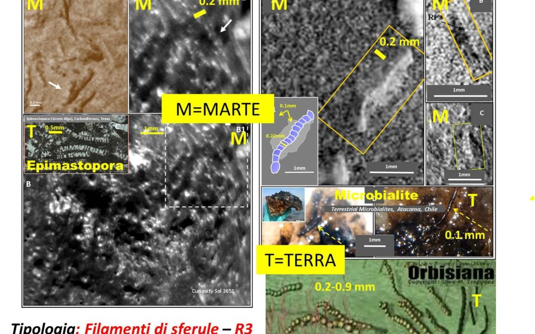 Nuovo studio italiano fa luce sui possibili fossili di Marte