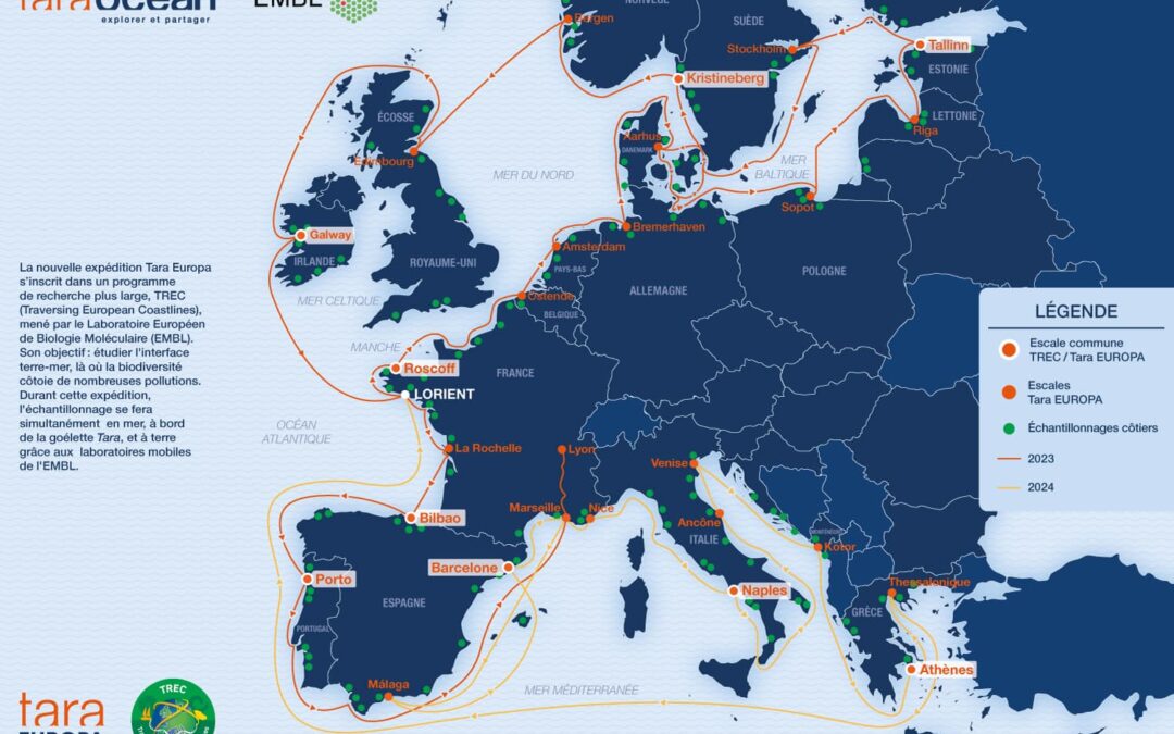 Al via ricerca per valutare l’impatto umano su microbioma marino