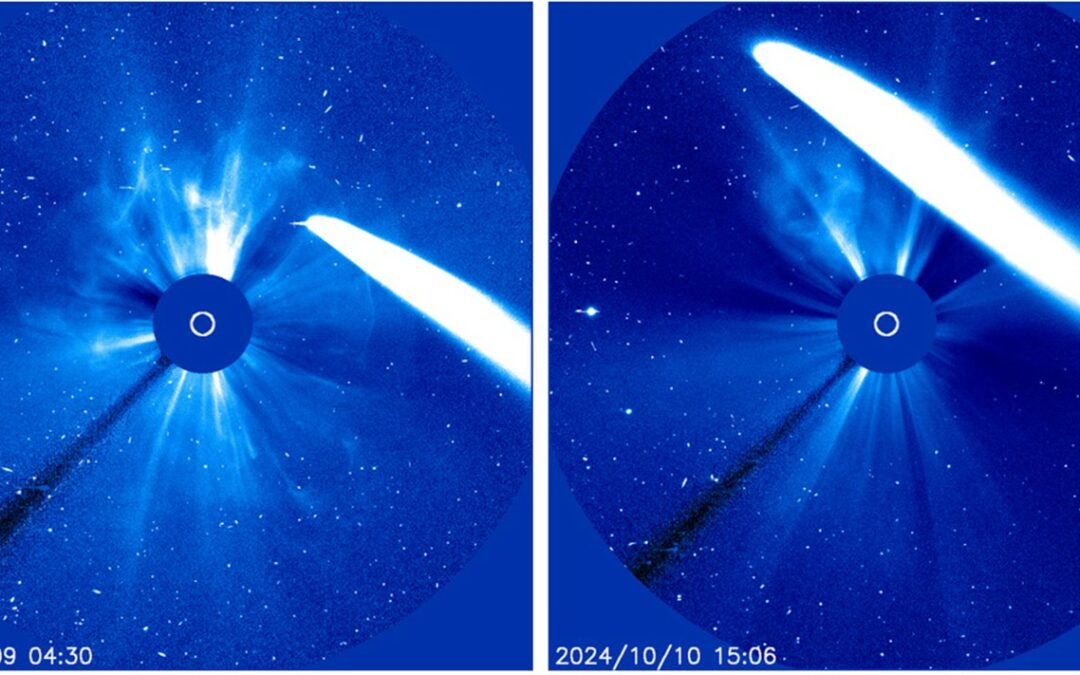 Coronografo NRL cattura immagini uniche di una cometa polverosa