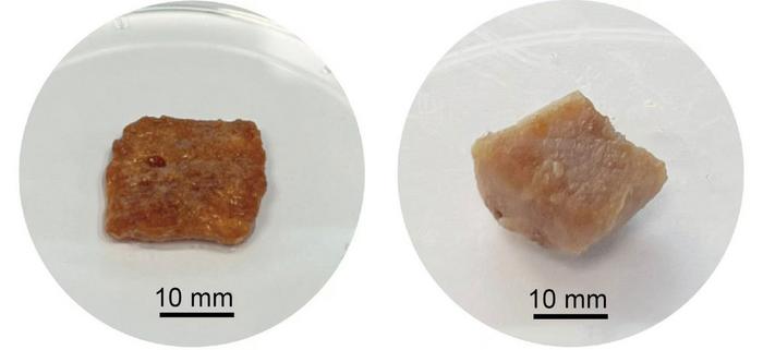 Creata in laboratorio carne di maiale dal sorgo