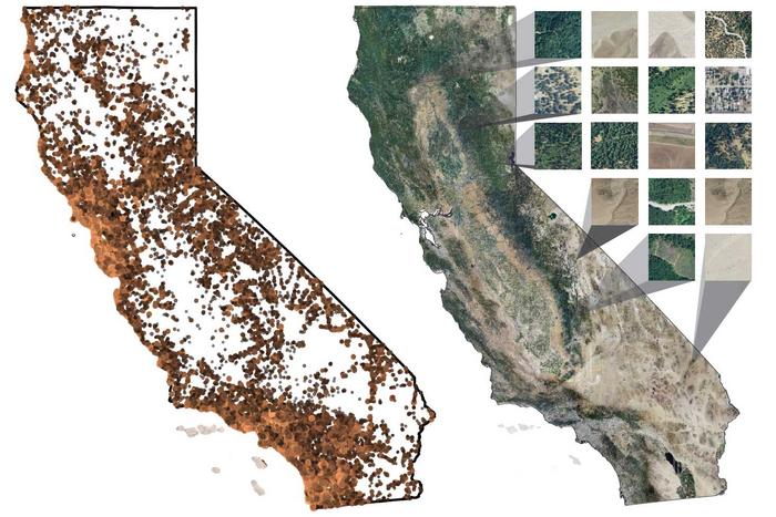 IA mappa le piante della California per una maggiore tutela