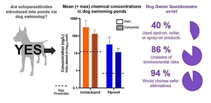 I cani contaminano gli stagni londinesi con i farmaci antiparassitari