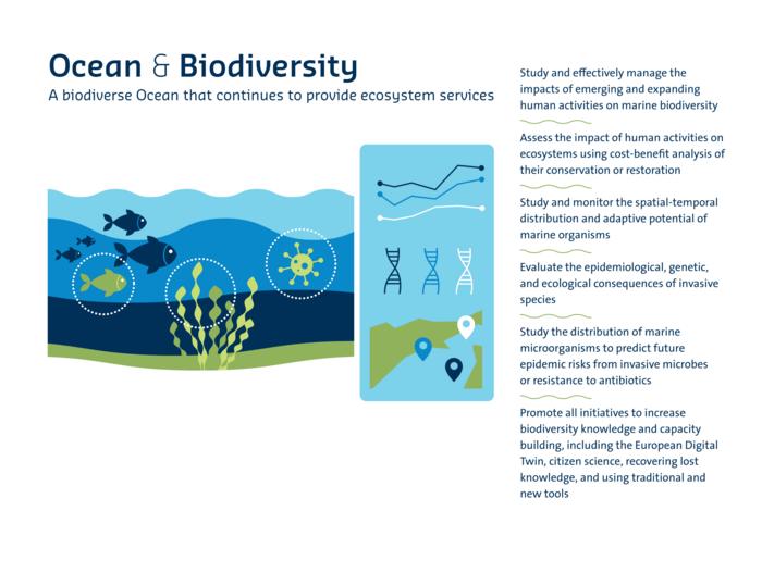 NFVI, la biodiversità oceanica è a rischio