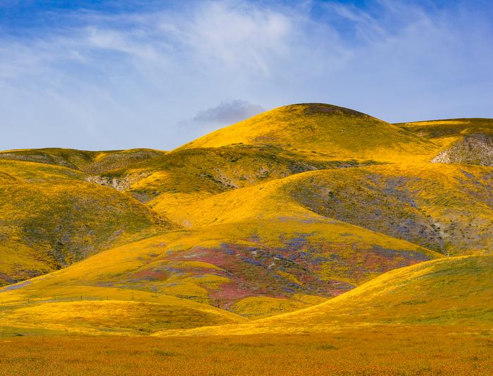 Praterie in prima linea per gli impatti del climate change