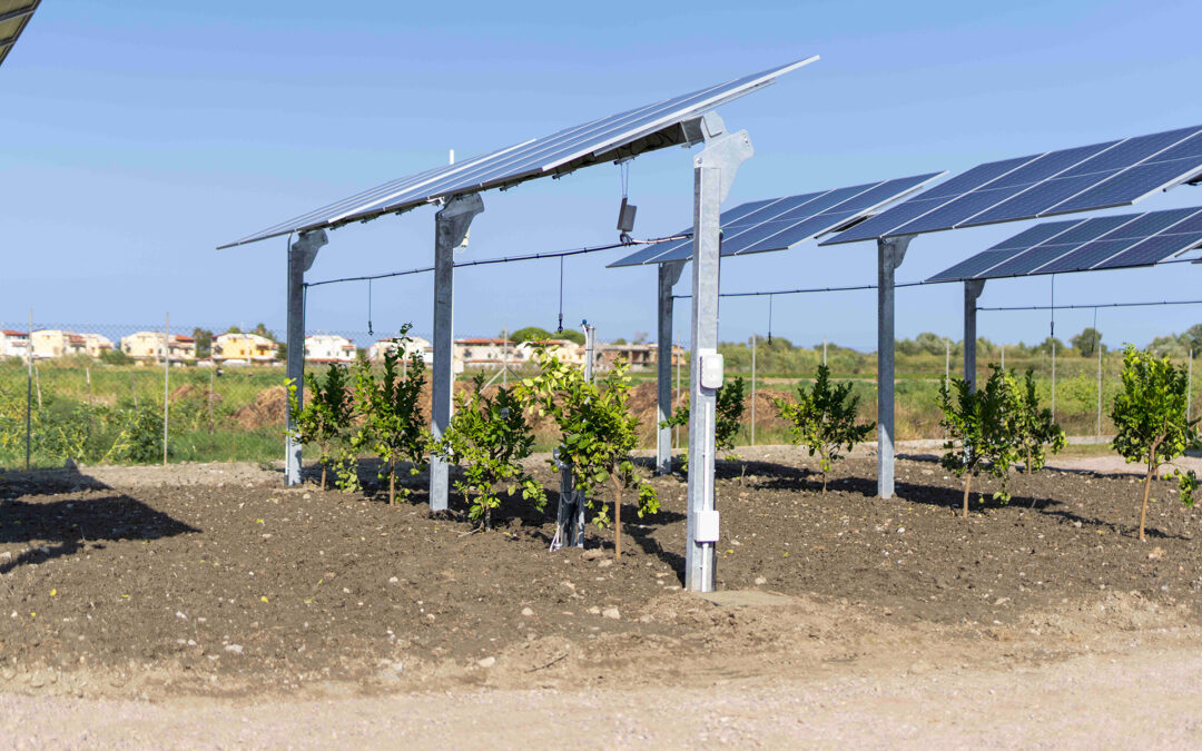 Energia: agrivoltaico, al via impianto hitech ENEA/EF Solare Italia in Calabria