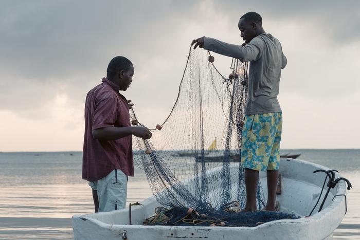 Connettività degli oceani aumenta pesci della barriera corallina