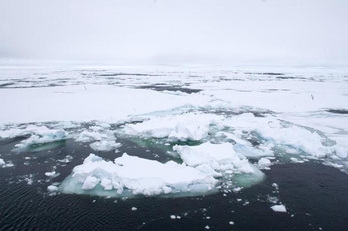 Scioglimento dei ghiacci Artico influenza circolazione oceanica