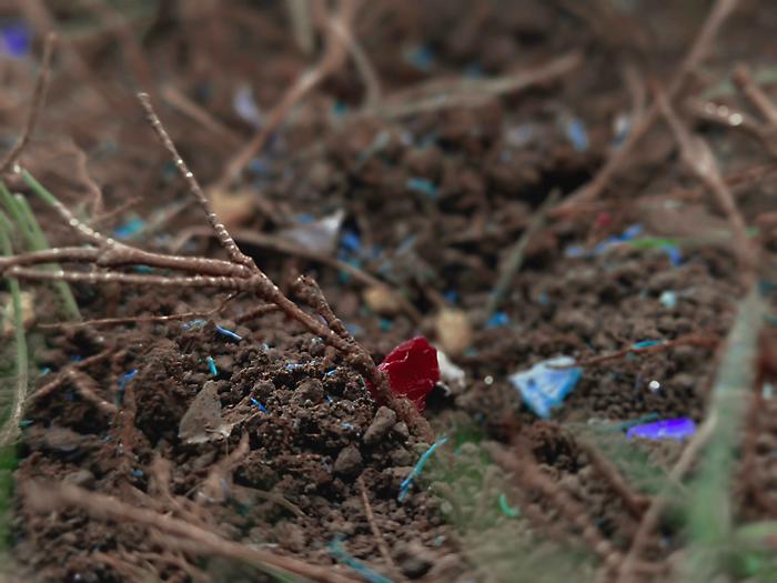 Specifiche microplastiche bloccano stoccaggio carbonio nel suolo