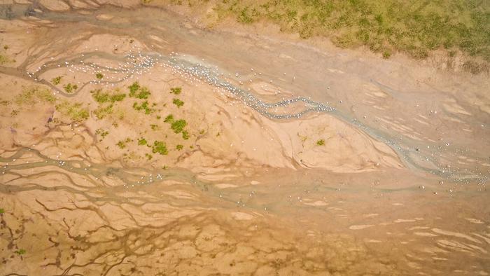 Le ondate di calore e siccità stanno modificando il suolo del mondo