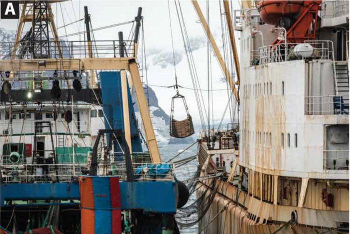 Mappata la catena di fornitura marittima del pesce