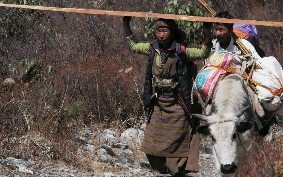 Geni dell’Uomo di Denisova hanno aiutato i popoli Tibetani e Sherpa a colonizzare gli ambienti di alta quota