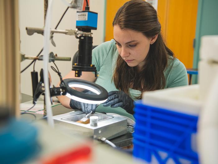 Le microplastiche sconvolgono la formazione delle nuvole