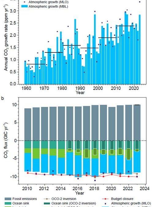 Nel 2023, forte calo dell’assorbimento della CO2 da parte della Terra