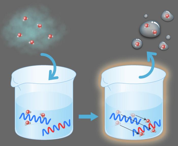 Un nuovo sistema rende più facile estrarre acqua dall’aria