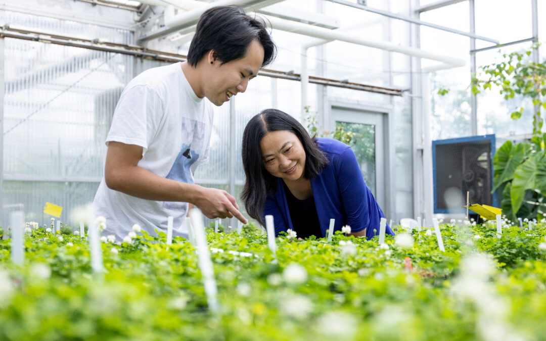 Le piante si sono evolute in modo da aggirare le istruzioni genetiche