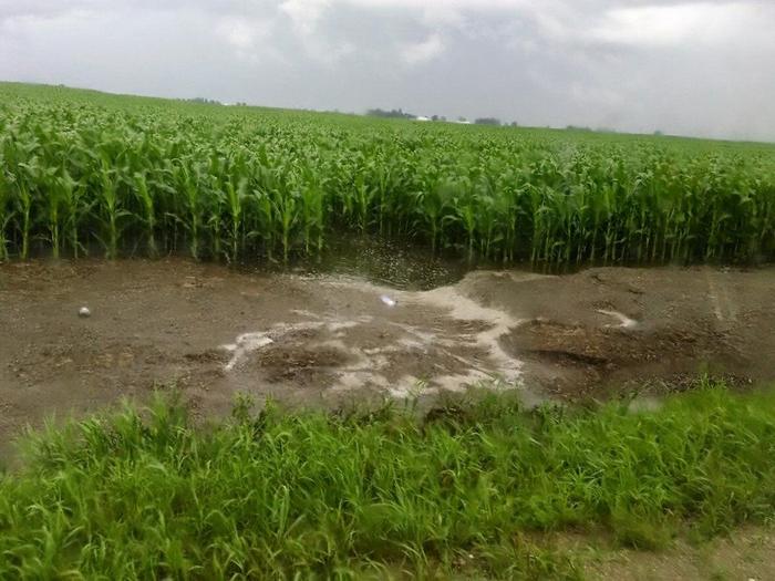 USA, il suolo perde sempre più nutrienti per eventi meteo estremi