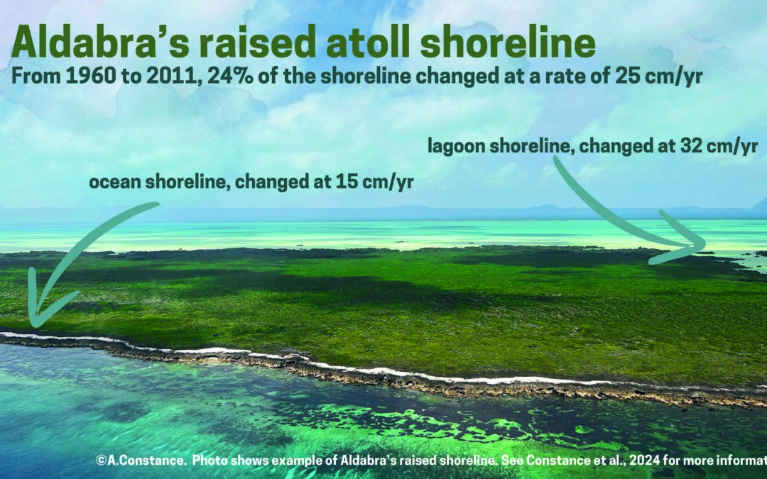 La straordinaria resilienza della costa dell’atollo di Aldabra in 51 anni