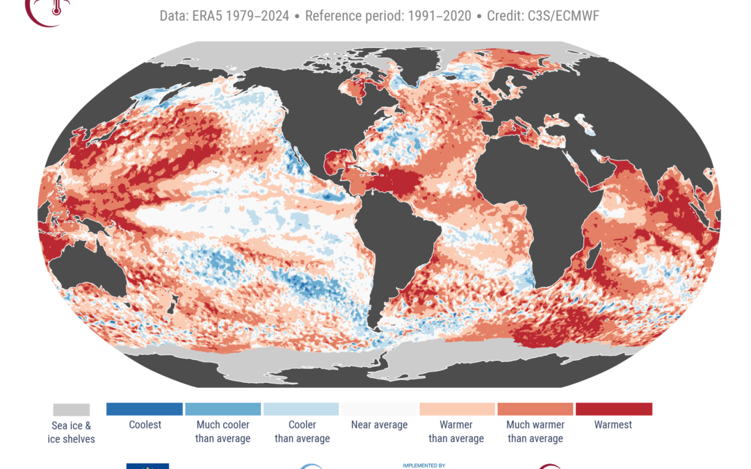 Copernicus, l’ultimo novembre è stato il secondo più caldo a livello globale
