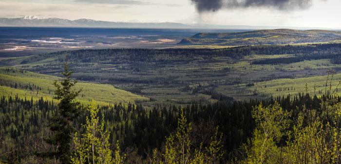 Climate change aumenta rischio incendi in foreste boreali