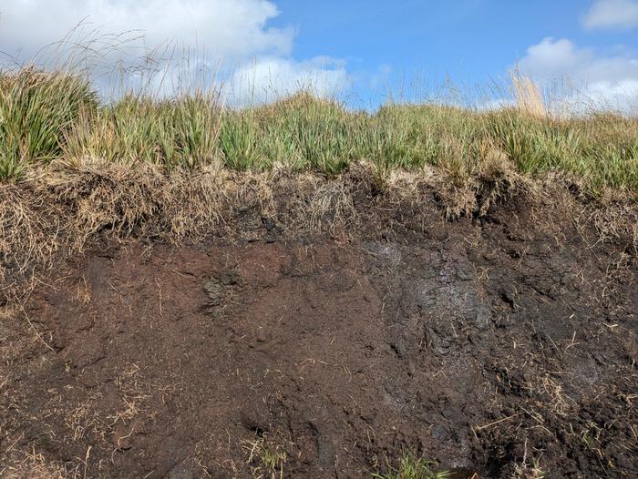 GB, torbiere rischiano la scomparsa per il climate change