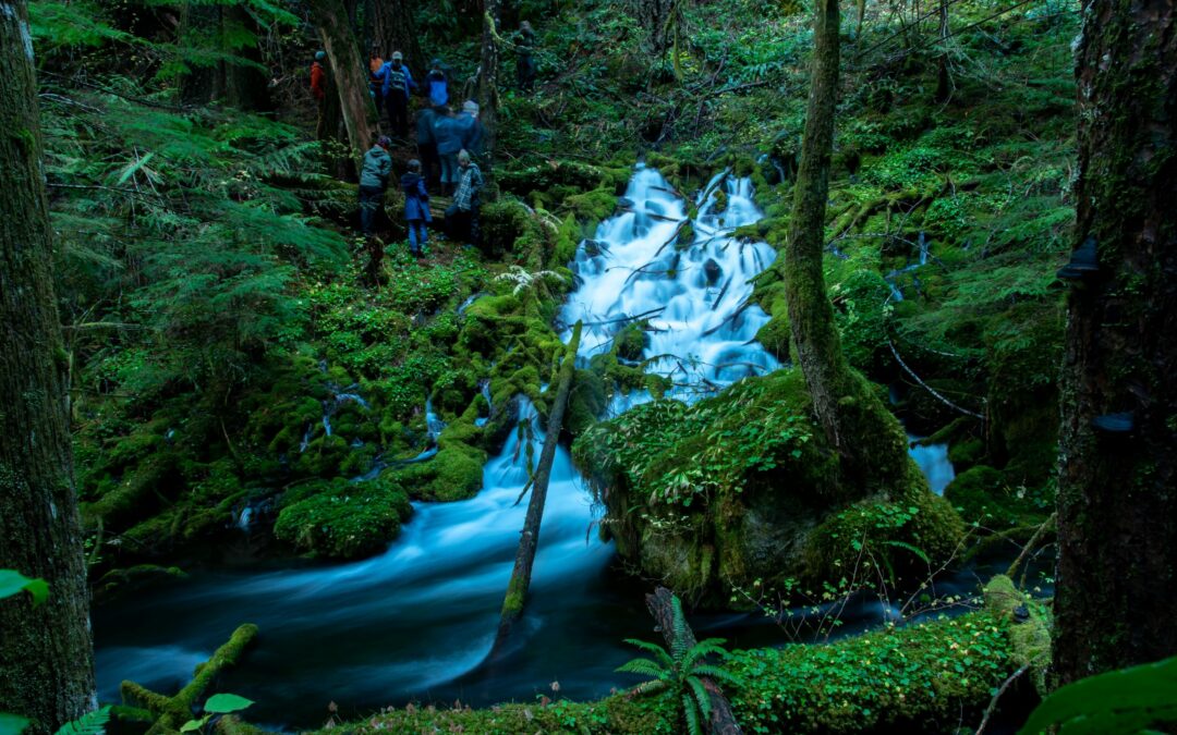 In cima alle montagne dell’Oregon trovata una falda acquifera