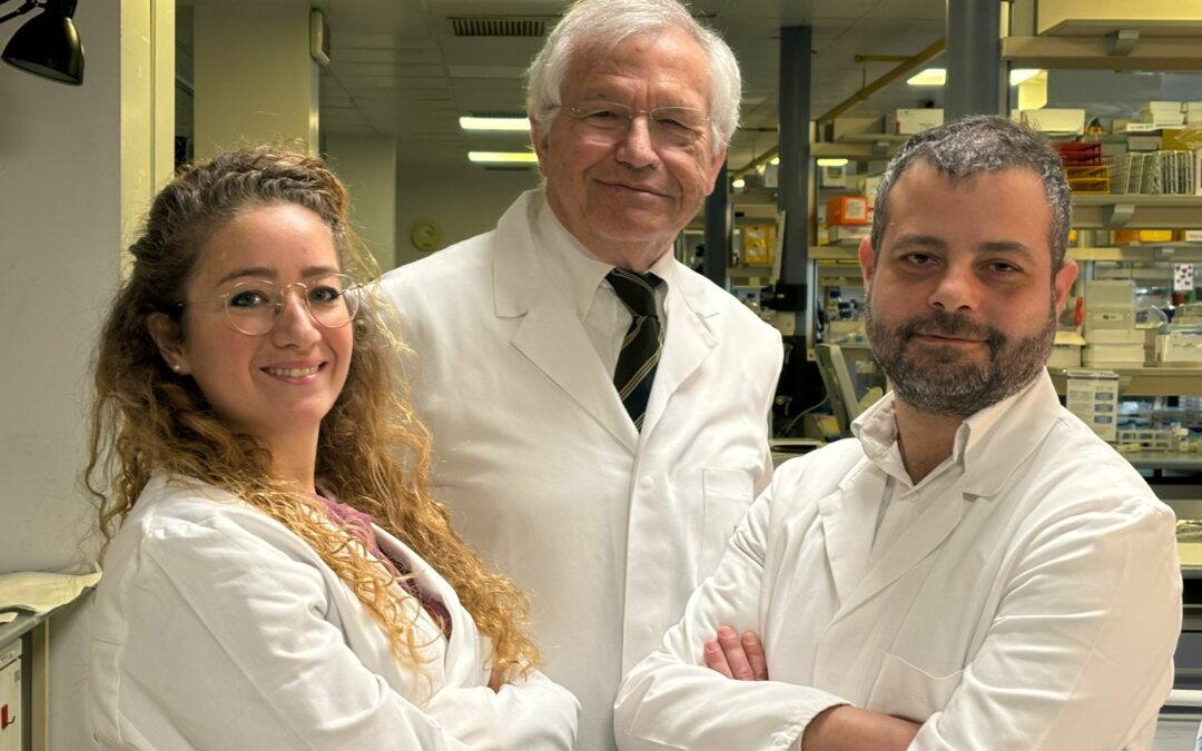 Tumori: ricercatori IFOM scoprono stress cellulare alla base della crescita tumorale