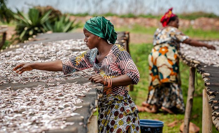 La pesca su piccola scala è essenziale per la catena alimentare globale