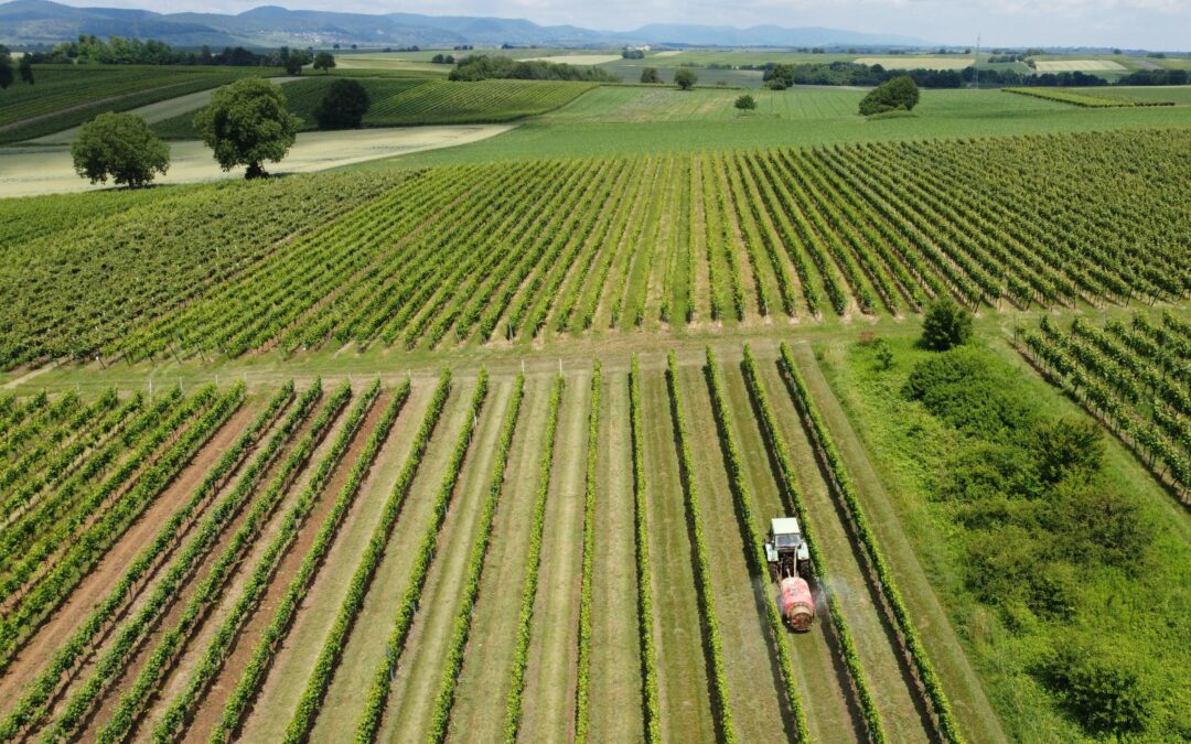 Le miscele di pesticidi sono presenti nel terreno e nelle piante tutto l’anno