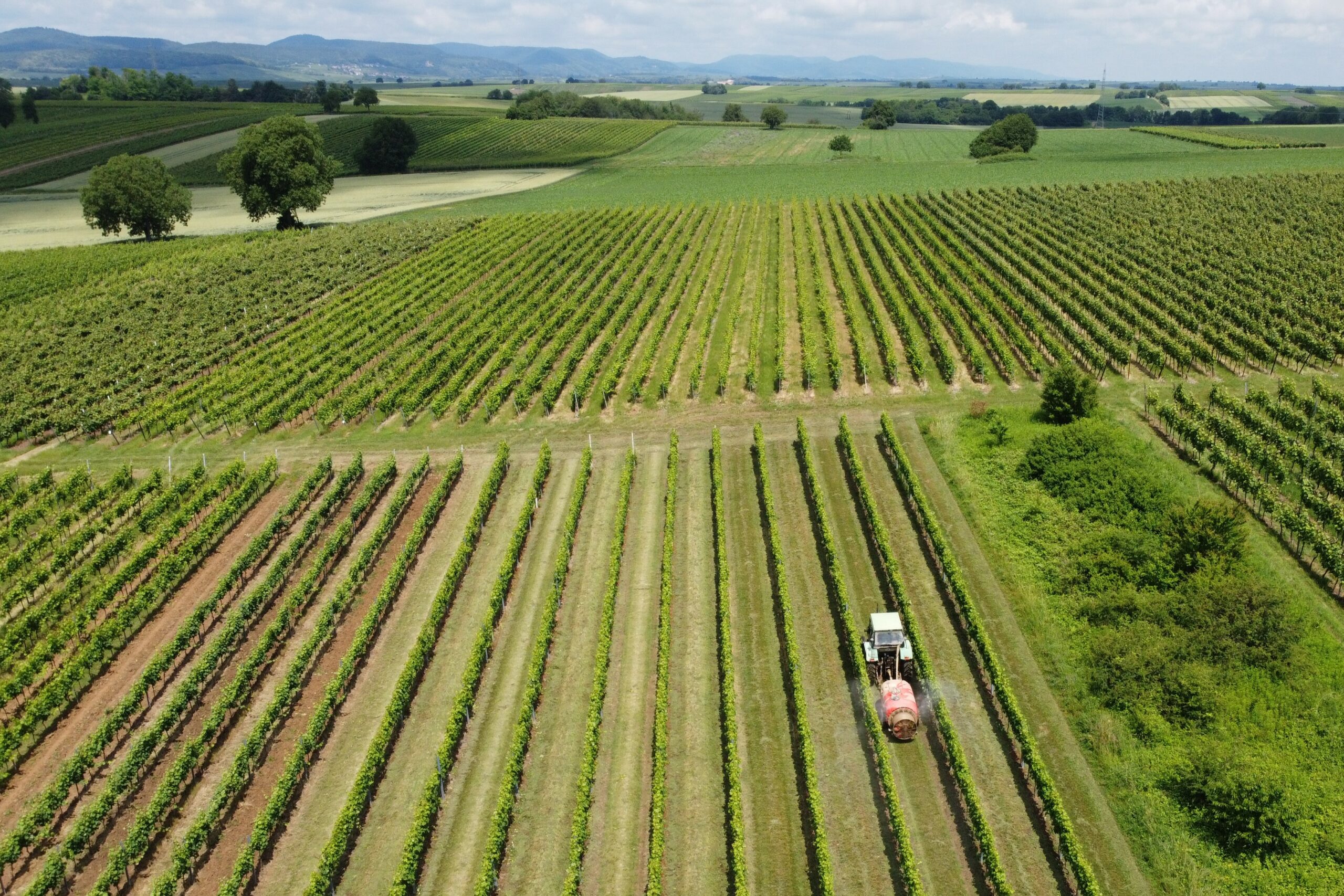 pesticide20application