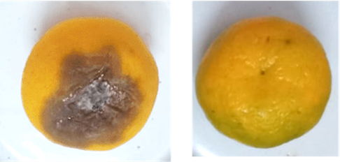 Nanofibre sostenibili per estendere la durata della frutta