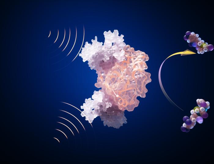 Sviluppato rivoluzionario biosensore per trovare le terre rare