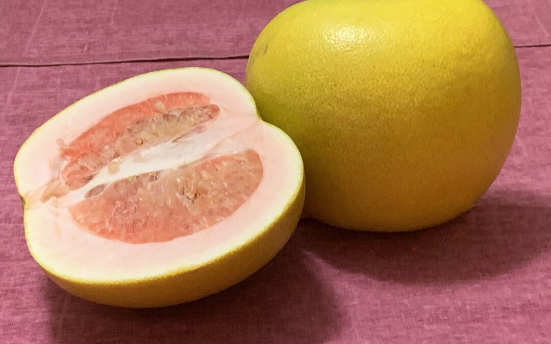 Grazie alle bucce di pomelo riciclate si producono energia e sensori