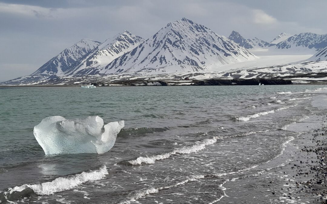 La “fusione della criosfera” avrà un impatto sui cicli del carbonio marino e sugli ecosistemi dell’Artico