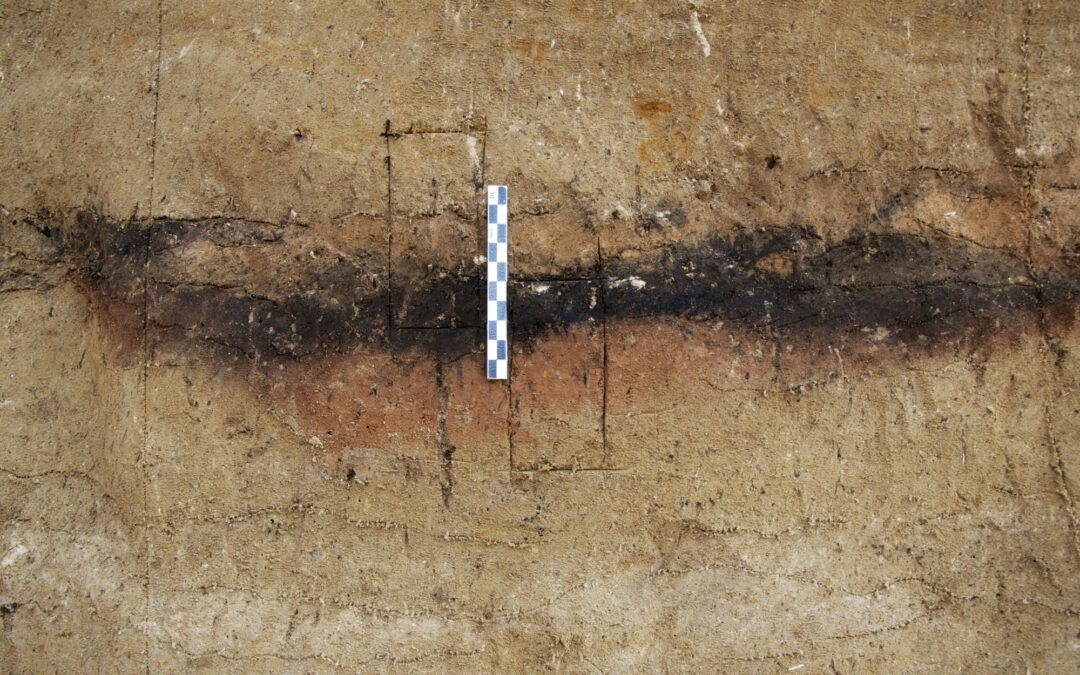 Pirotecnologia sofisticata nell’era glaciale: come gli uomini accendevano il fuoco migliaia di anni fa